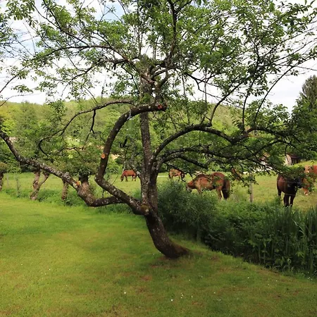 Semesterbostad Aurelia *