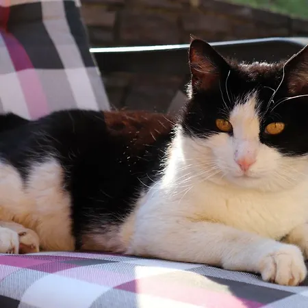 Semesterbostad Aurelia Kitzeck im Sausal