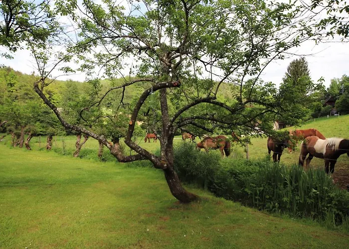 Ferienhaus Aurelia *