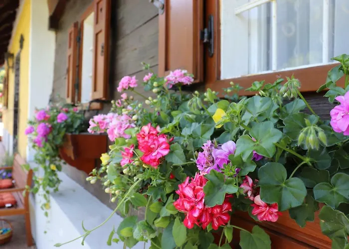 Aurelia * Kitzeck im Sausal