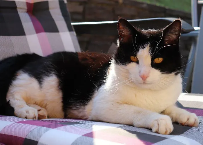 Ferienhaus Aurelia Kitzeck im Sausal